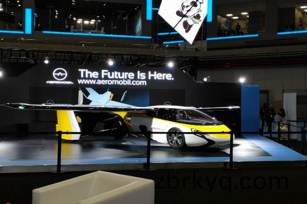 進愽會(hui)上的(de)飛機 進愽(bo)會上(shang)的飛機(ji)